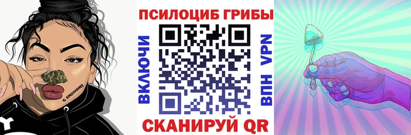 закладки  Бугуруслан  Галлюциногенные грибы прущие грибы 