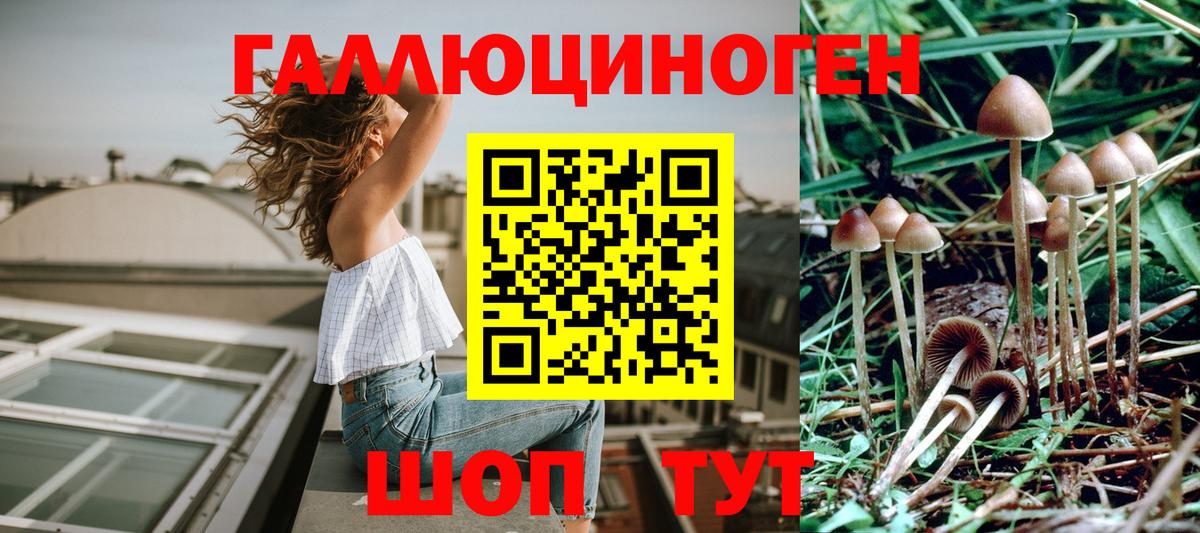 Псилоцибиновые грибы MAGIC MUSHROOMS  Псилоцибиновые грибы Cubensis  Вход с VPN  Бугуруслан 