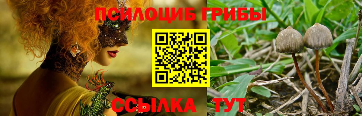 Галлюциногенные грибы прущие грибы Бугуруслан